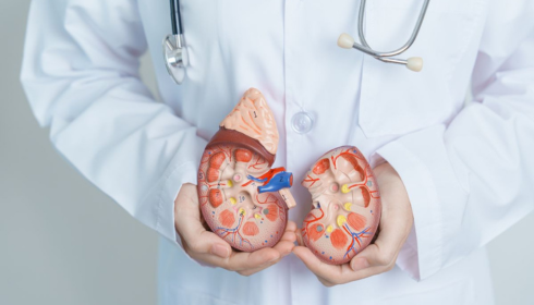 Finding the Right Care: Your Guide to the Best kidney transplant hospital in bangalore