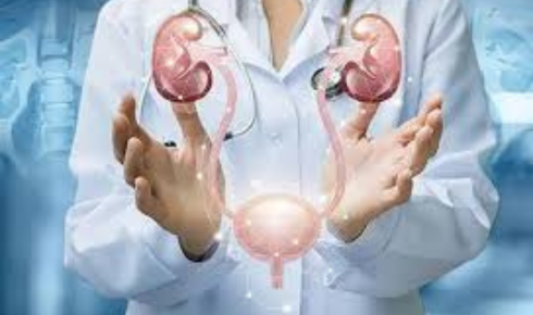 Urologist in Bangalore: Finding Expert Care for Better Urological Health